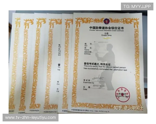 跆拳道学院完善青少年等级考试标准与透明公示，2021青少年跆拳道